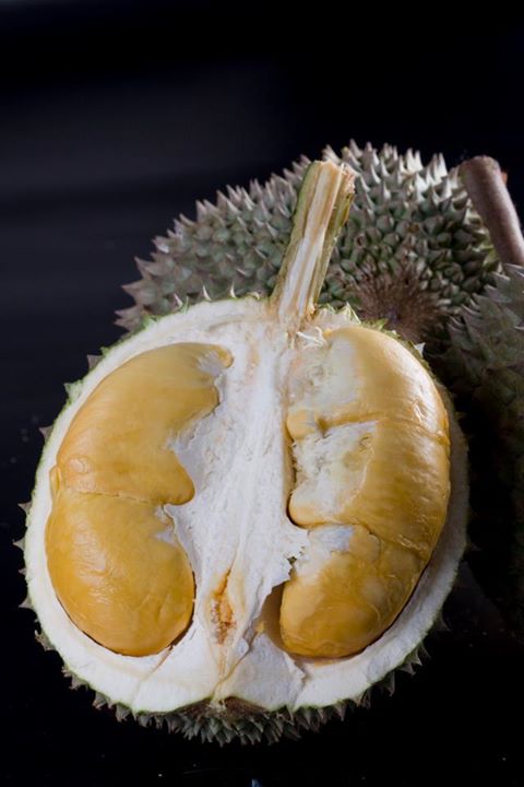 Manfaat Buah Durian Duri Hitam