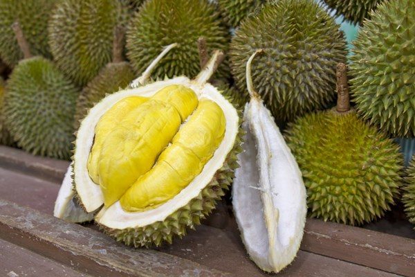 Manfaat Buah Durian Musang King Kaki Empat