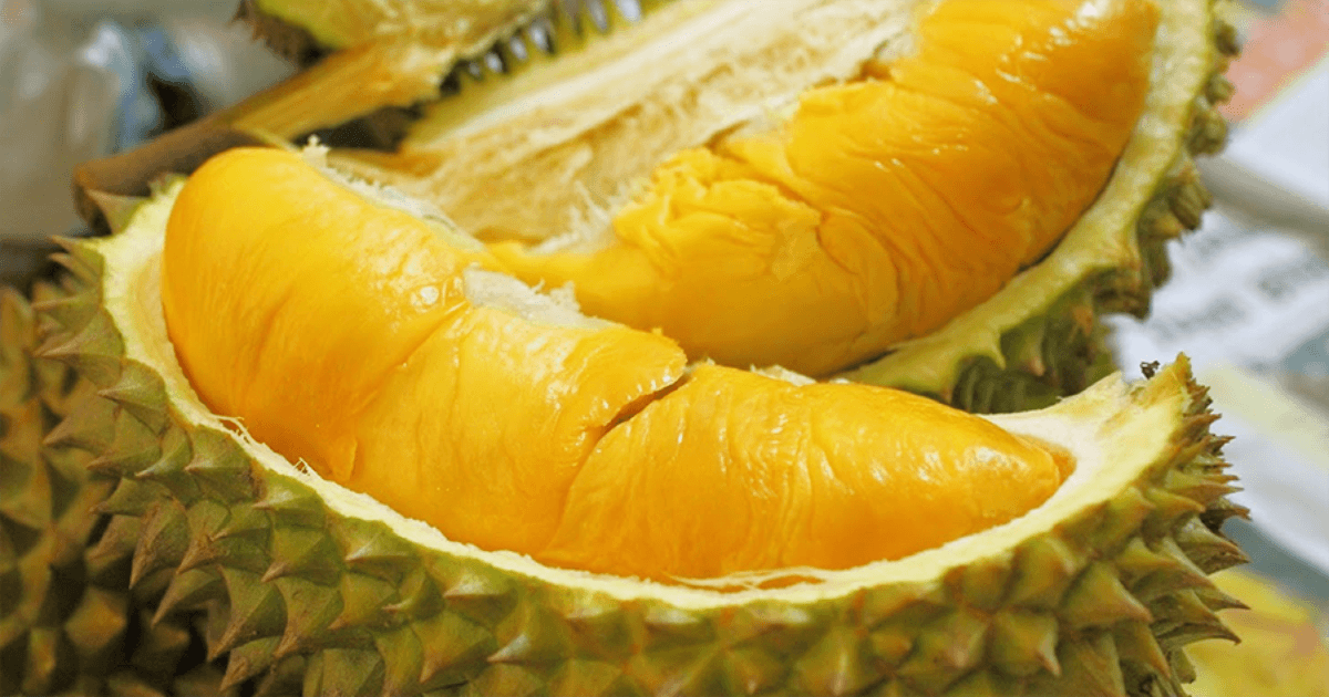 Manfaat Buah Durian D24