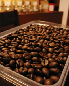 biji kopi robusta pilihan
