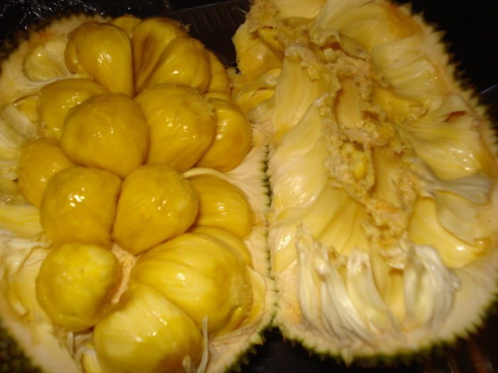 ciri-ciri buah nangka madu